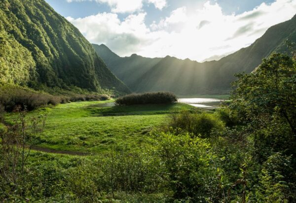 Pourquoi créer un site internet pour son entreprise à La Réunion