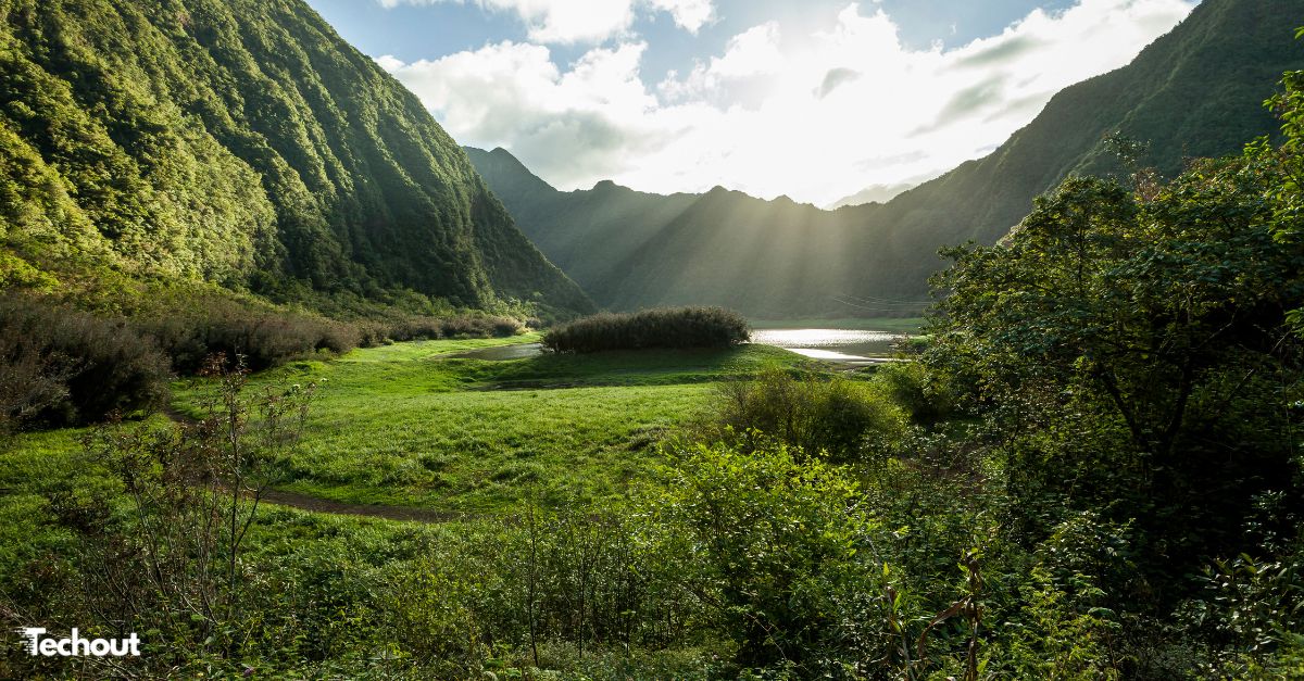 Pourquoi créer un site internet pour son entreprise à La Réunion